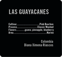 Apollon's Gold - Las Guayacanes - Washed Pink Bourbon | Colombia - Sigma Coffee UK