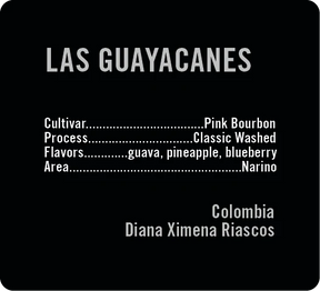Apollon's Gold - Las Guayacanes - Washed Pink Bourbon | Colombia - Sigma Coffee UK