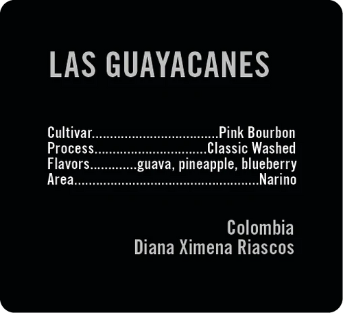Apollon's Gold - Las Guayacanes - Washed Pink Bourbon | Colombia - Sigma Coffee UK