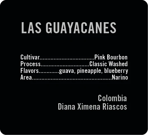 Apollon's Gold - Las Guayacanes - Washed Pink Bourbon | Colombia - Sigma Coffee UK