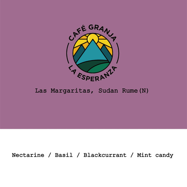 Goût & Co - Colombia, Cafe Granja La Esperanza Las Margaritas, Sudan Rume Natural - Sigma Coffee UK