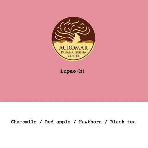 Goût & Co - Panama Finca Auromar Lupao Natural