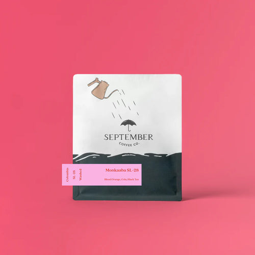 September - Monkaaba Washed SL-28 | Colombia