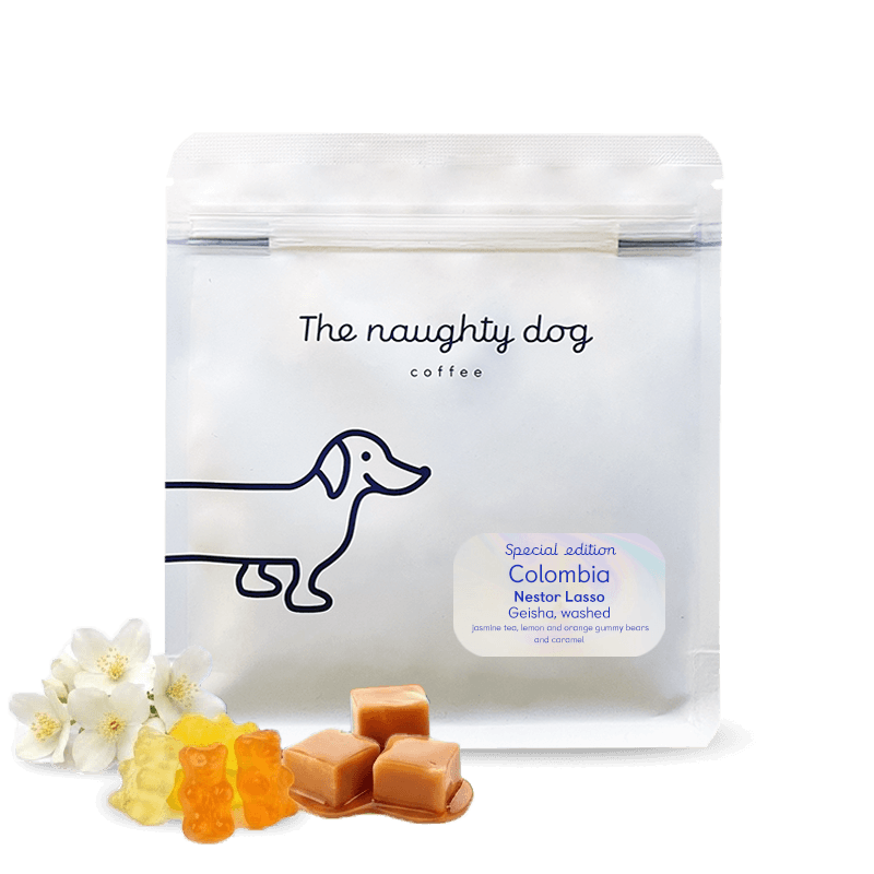 The Naughty Dog - Colombia Nestor Lasso - El Diviso, Gesha | Colombia