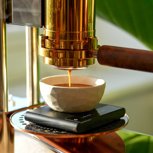 KRUVE Earth Coffee Cups