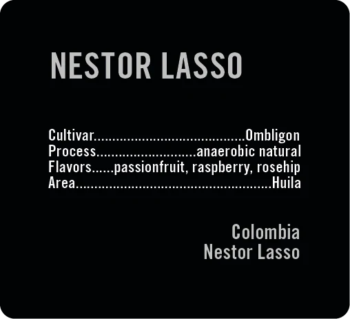 Apollon's Gold - Nestor Lasso - Washed Ombligon | Colombia