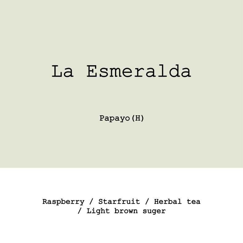 Goût & Co - 2026 New Crop La Esmeralda Papayo Honey | Colombia