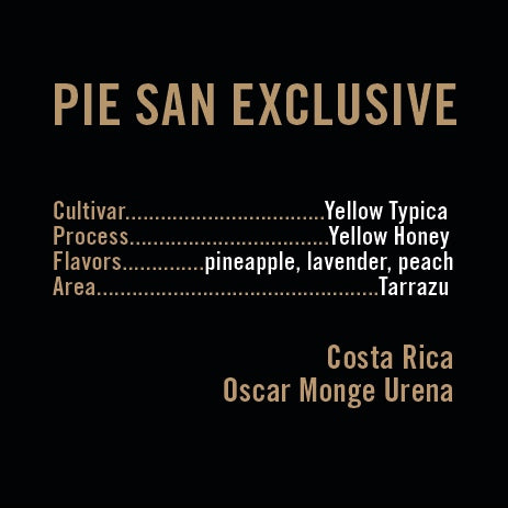 Apollon's Gold - Pie San Exclusive lot Yellow Typica | Costa Rica