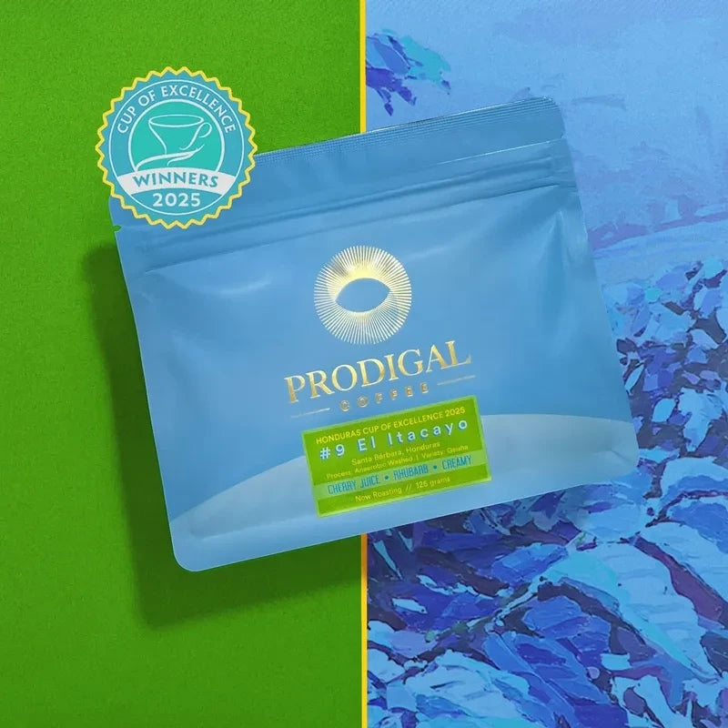 Prodigal Coffee - El Itacayo Anaerobic Washed Geisha | Honduras
