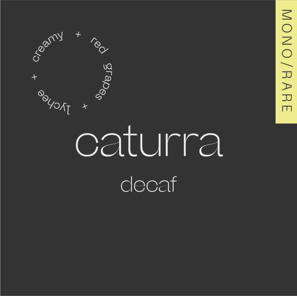 A.M.O.C. - CATURRA DECAF Colombia — Nogales