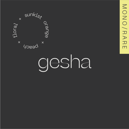 A.M.O.C. - GESHA³ Colombia — Las Marias (100g)