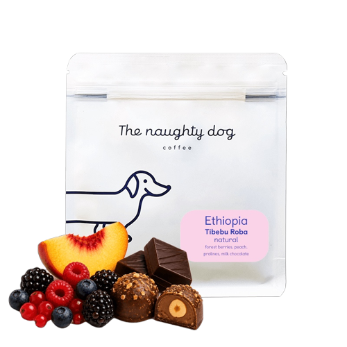 The Naughty Dog - Tibebu Roba | Ethiopia