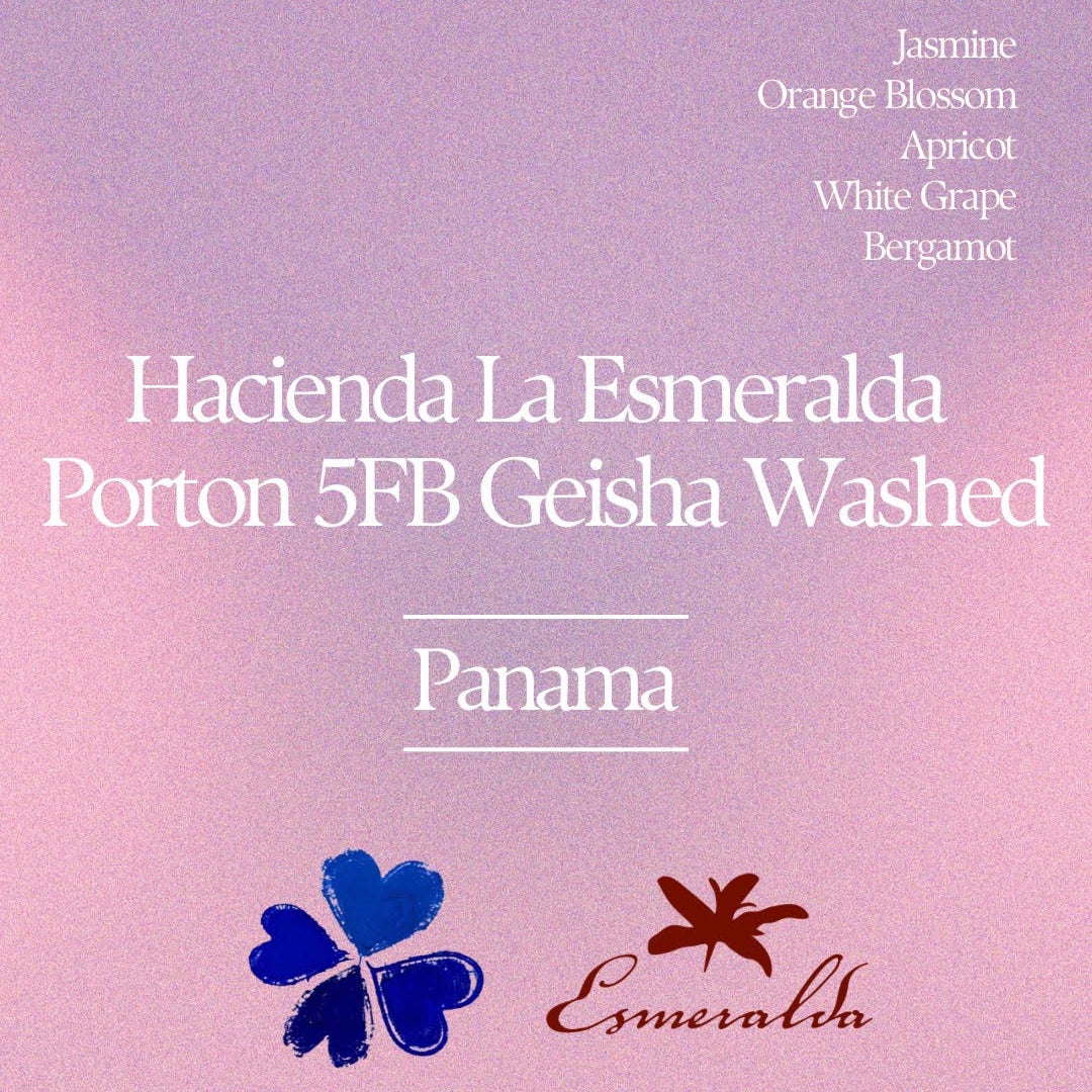 Klover - Hacienda La Esmeralda El Velo Washed Geisha Portón 5FB | Panama