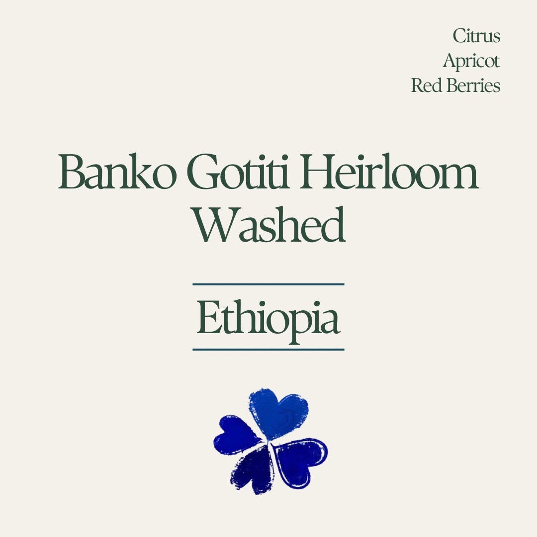 Klover - Banko Gotiti Washed Heirloom | Ethiopia
