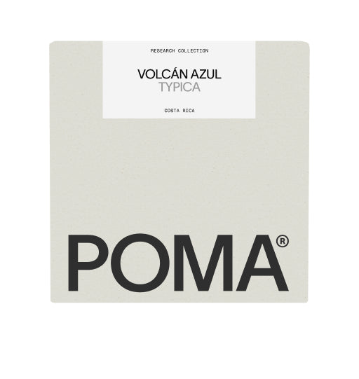 POMA - Volcán Azul - Honey Typica | Costa Rica