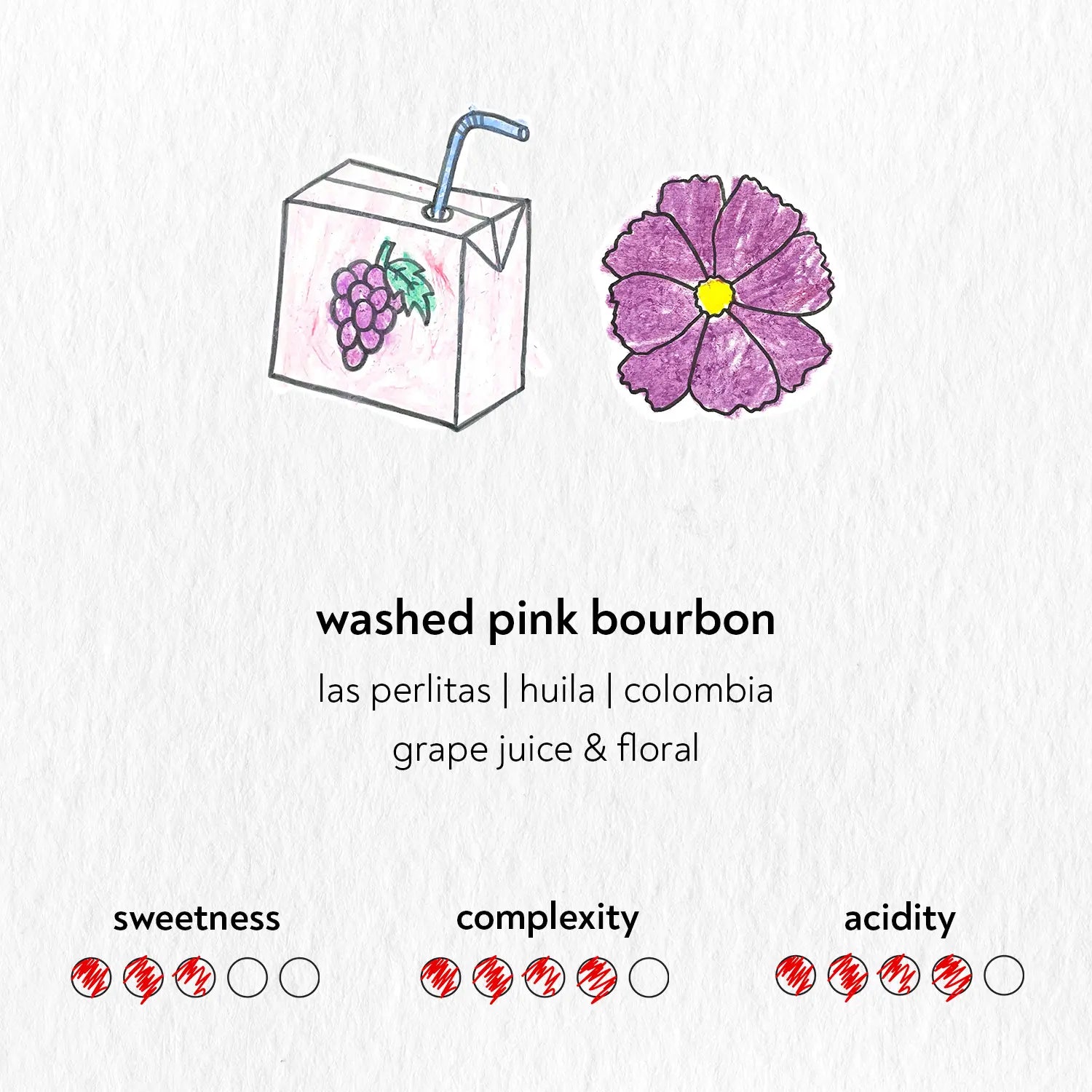 Sandbox - Washed Pink Bourbon | Colombia
