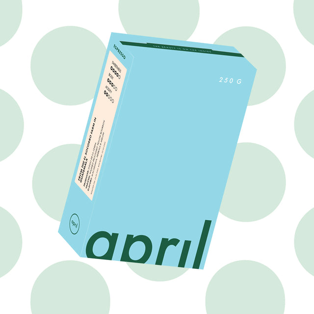 April - El Socorro - Guatemala - Washed Yellow Bourbon